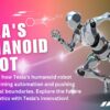 Humanoid Robot