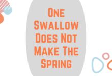 One Swallow Does Not Make The Spring