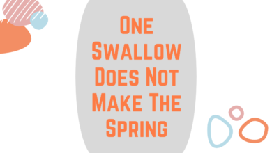 One Swallow Does Not Make The Spring